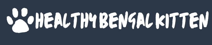 healthybengalkitten.com
